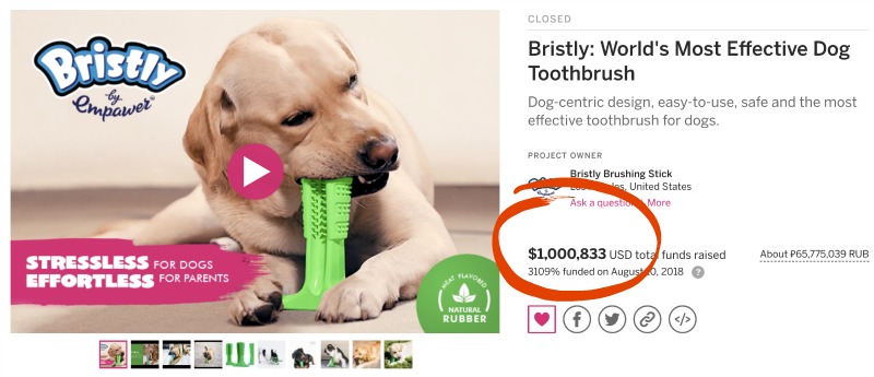 Bristly Brushing Stick Kickstarter and Indiegogo