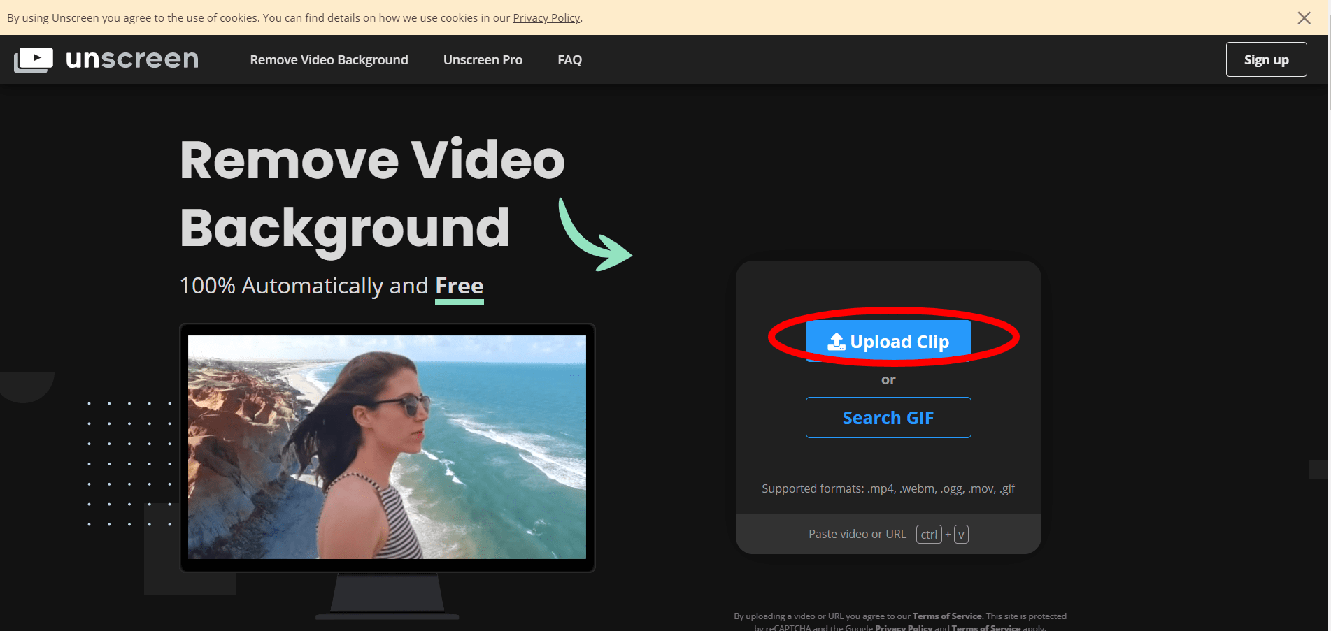 Make GIF from video