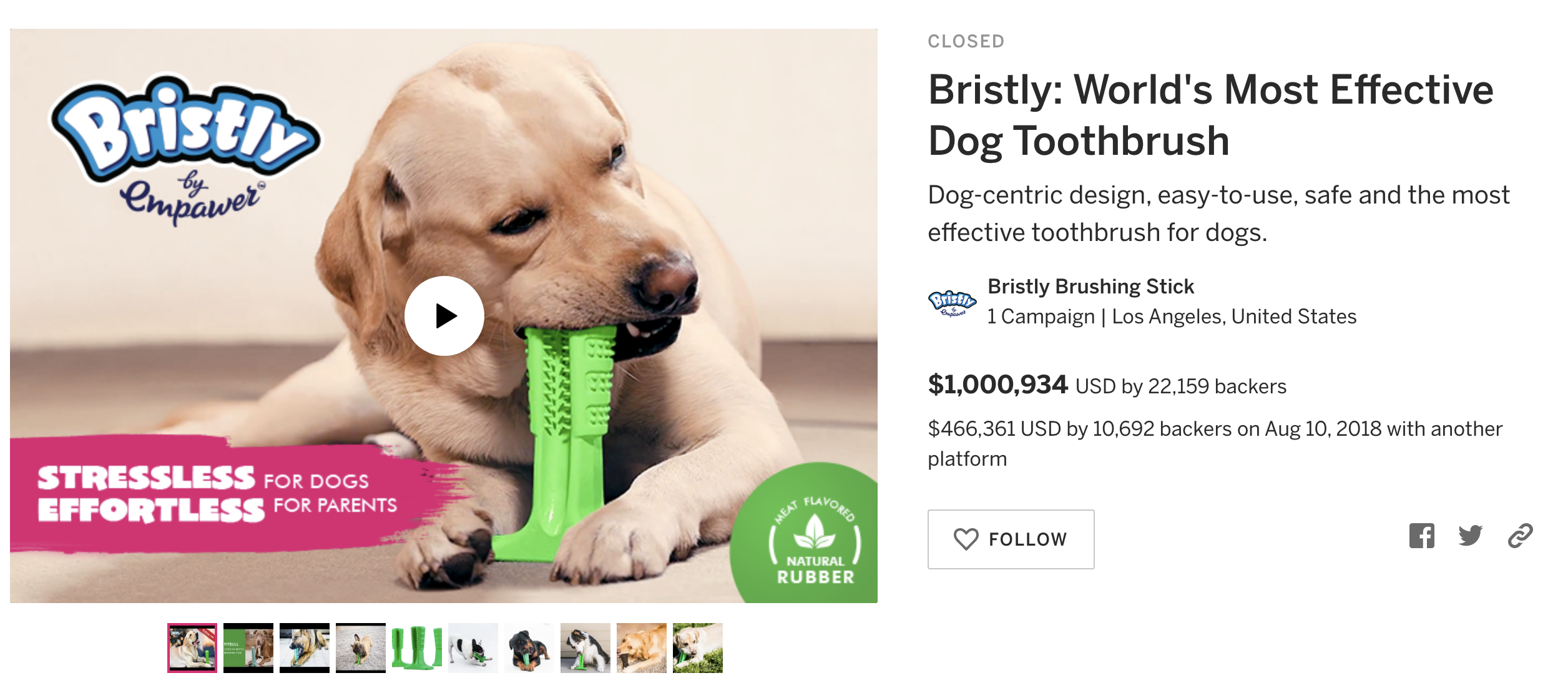 Bristly Most Funded Dog Campaign